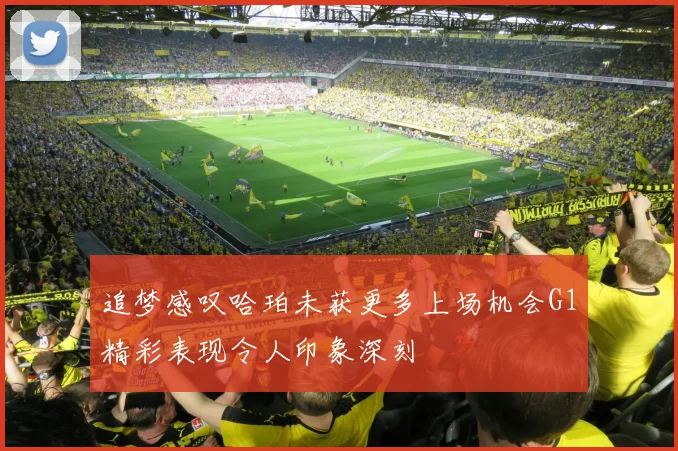 追梦感叹哈珀未获更多上场机会G1精彩表现令人印象深刻